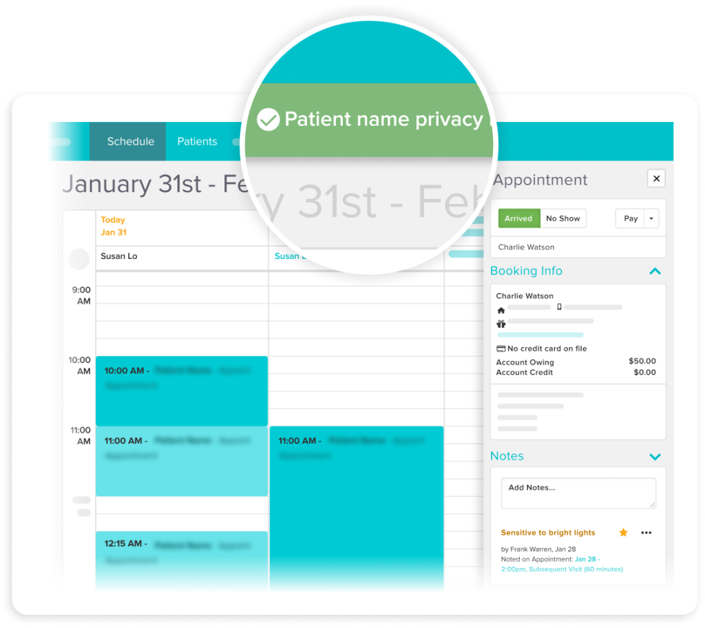 Medical appointment scheduling interface showing calendar view for January 31st with patient appointments and booking details panel